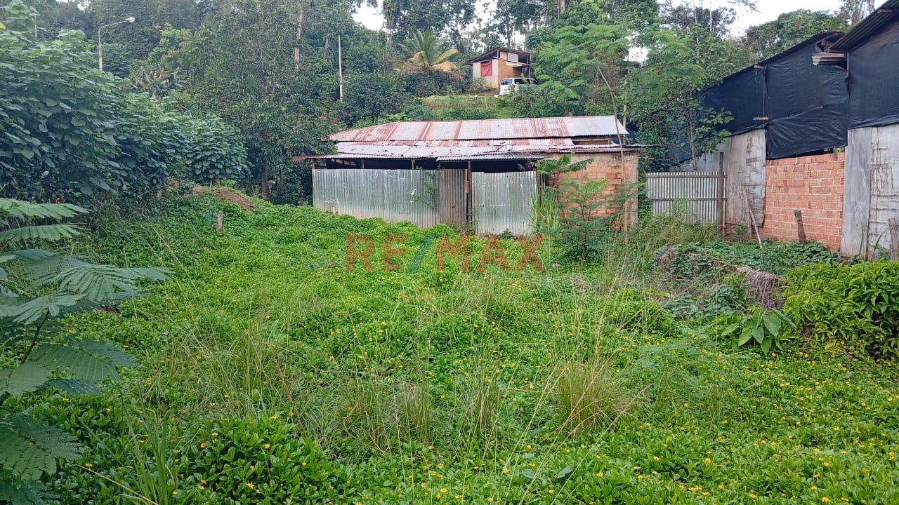 Terreno En El Distrito De Sauce A Cinco Cdras De La Laguna Azul, Tarapoto, San Martín.